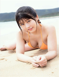 《成熟的小桃子2-调教女佣游戏攻略》